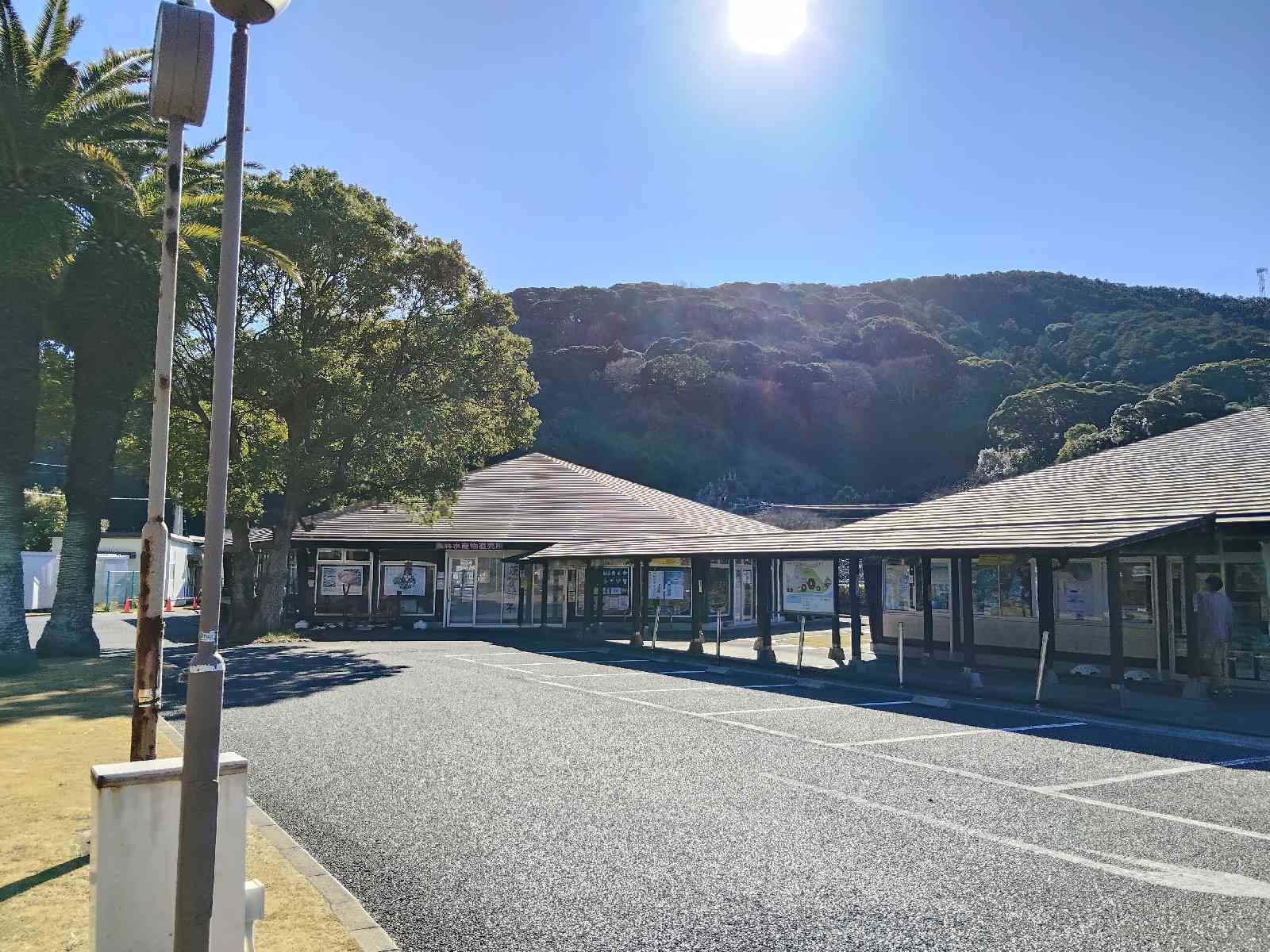 道の駅 下賀茂温泉　湯の花の写真