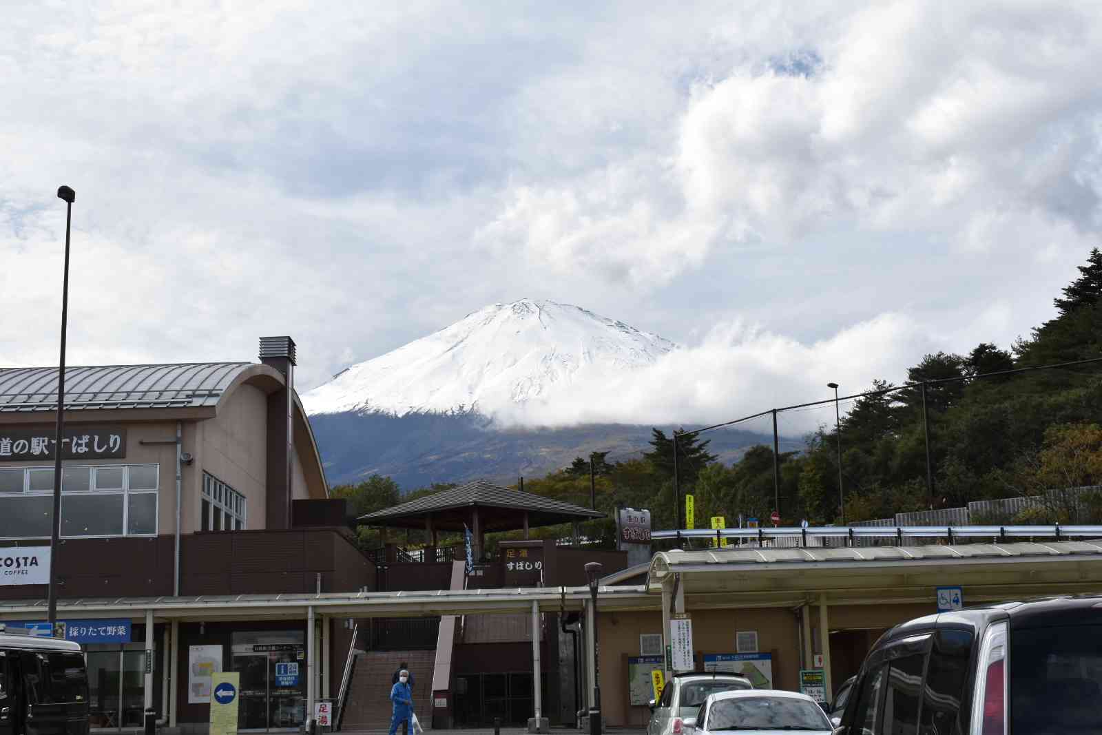 投稿された画像