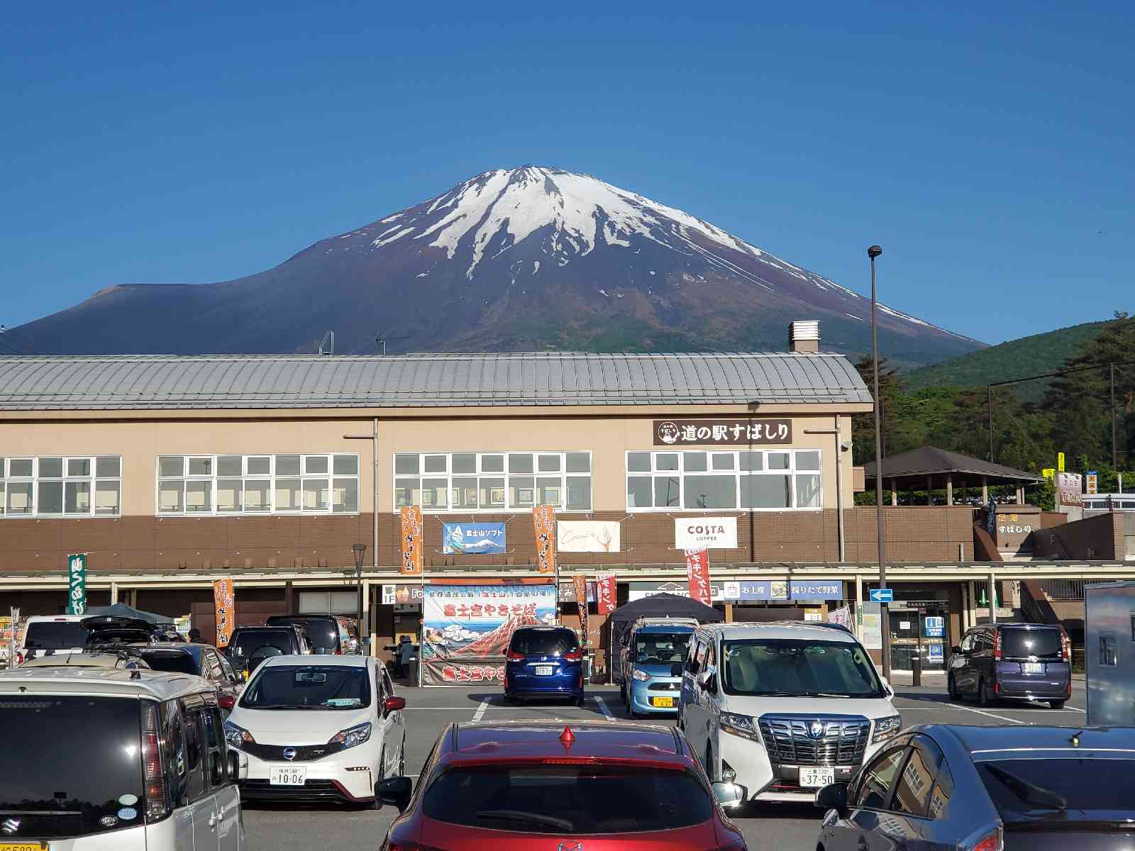 投稿された画像