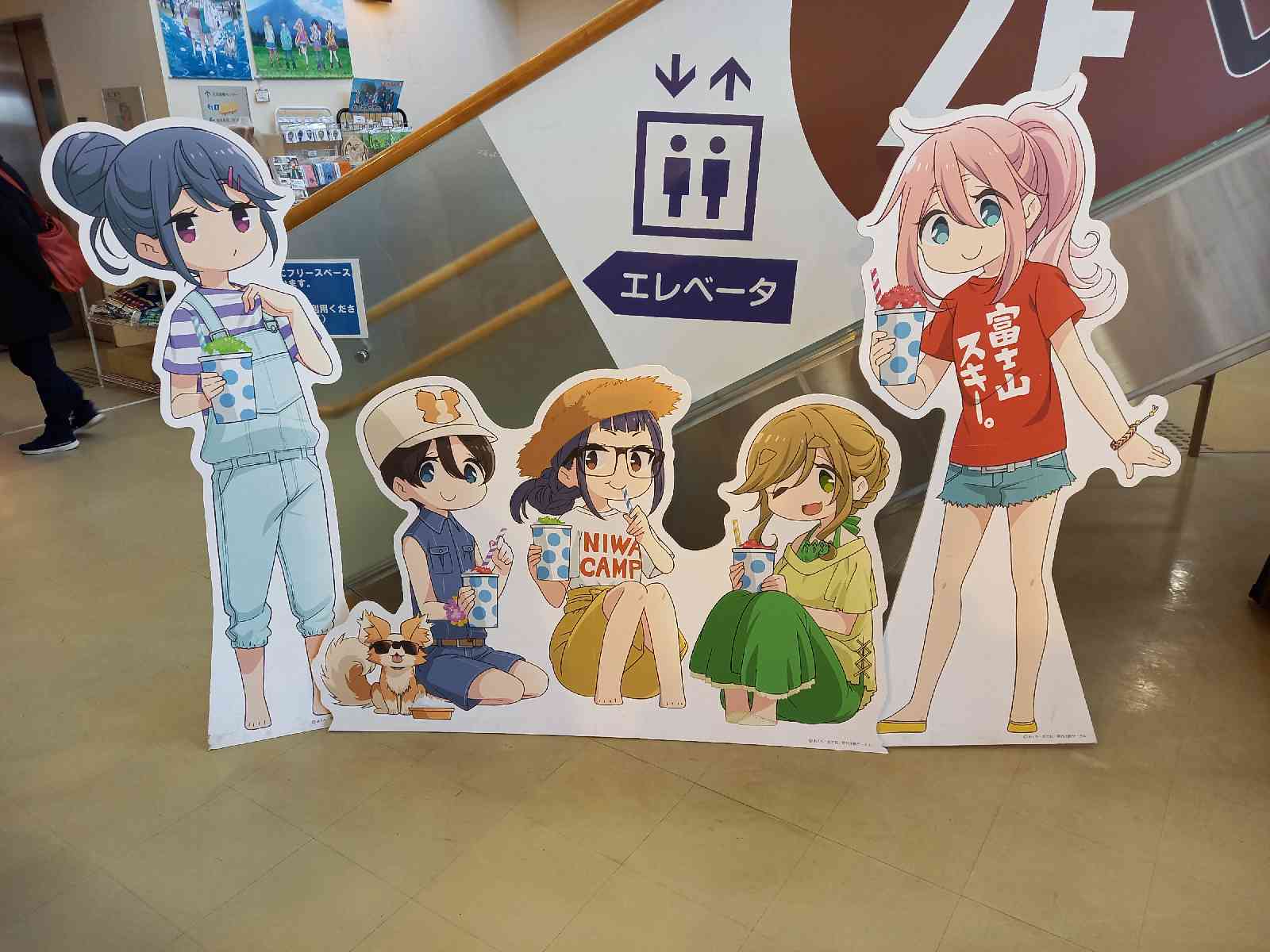 投稿された画像