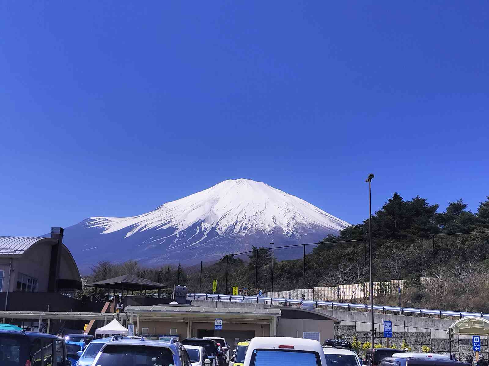 投稿された画像