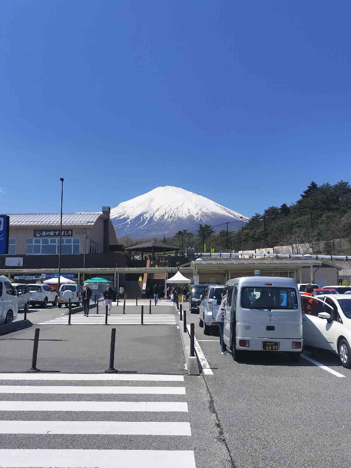 投稿された画像