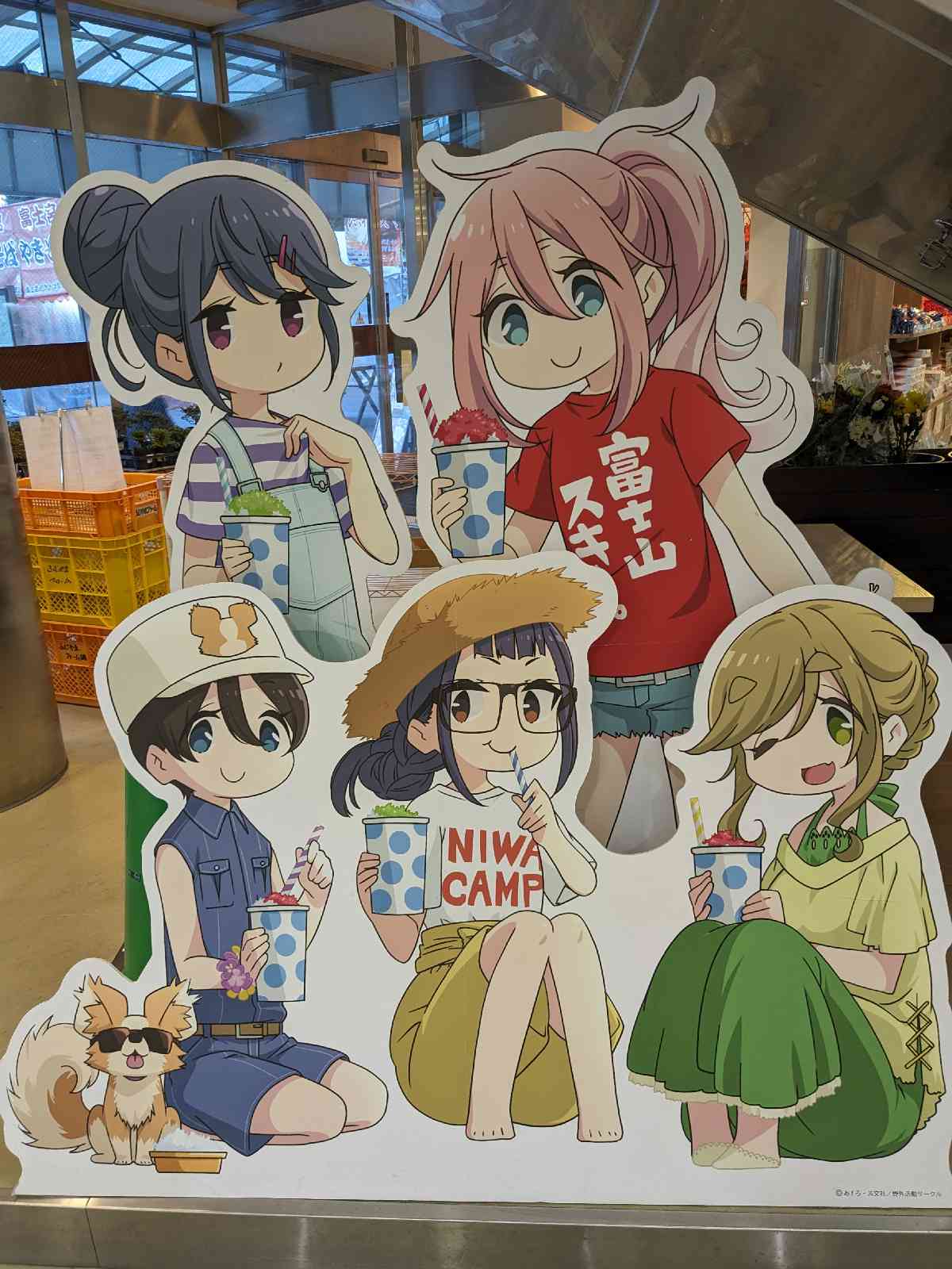 道の駅 すばしりの写真