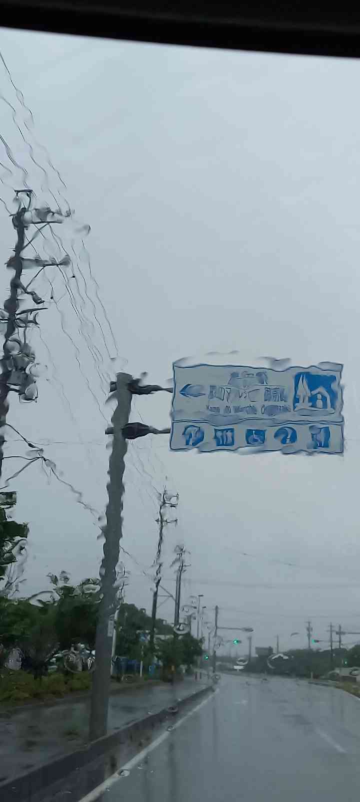投稿された画像