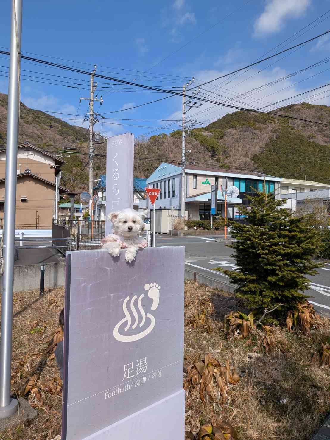 道の駅 くるら戸田の写真