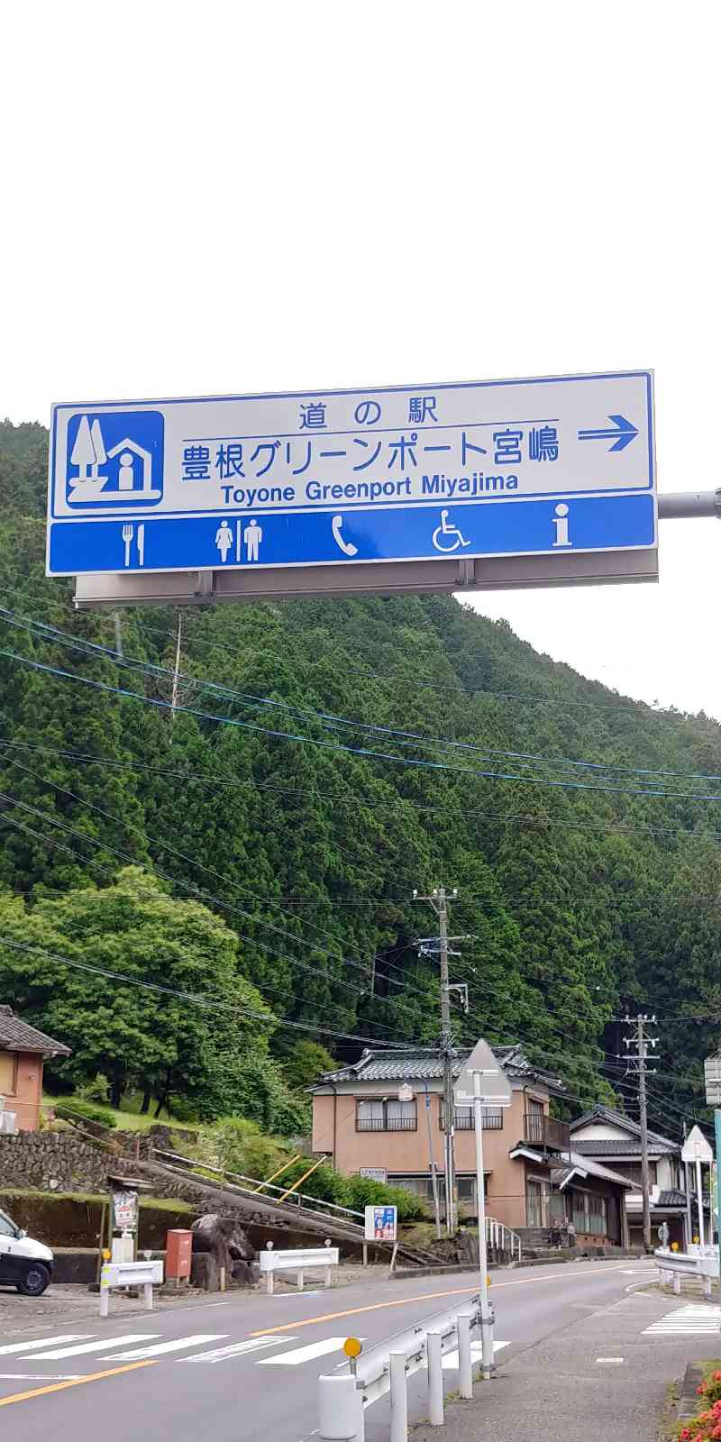 投稿された画像