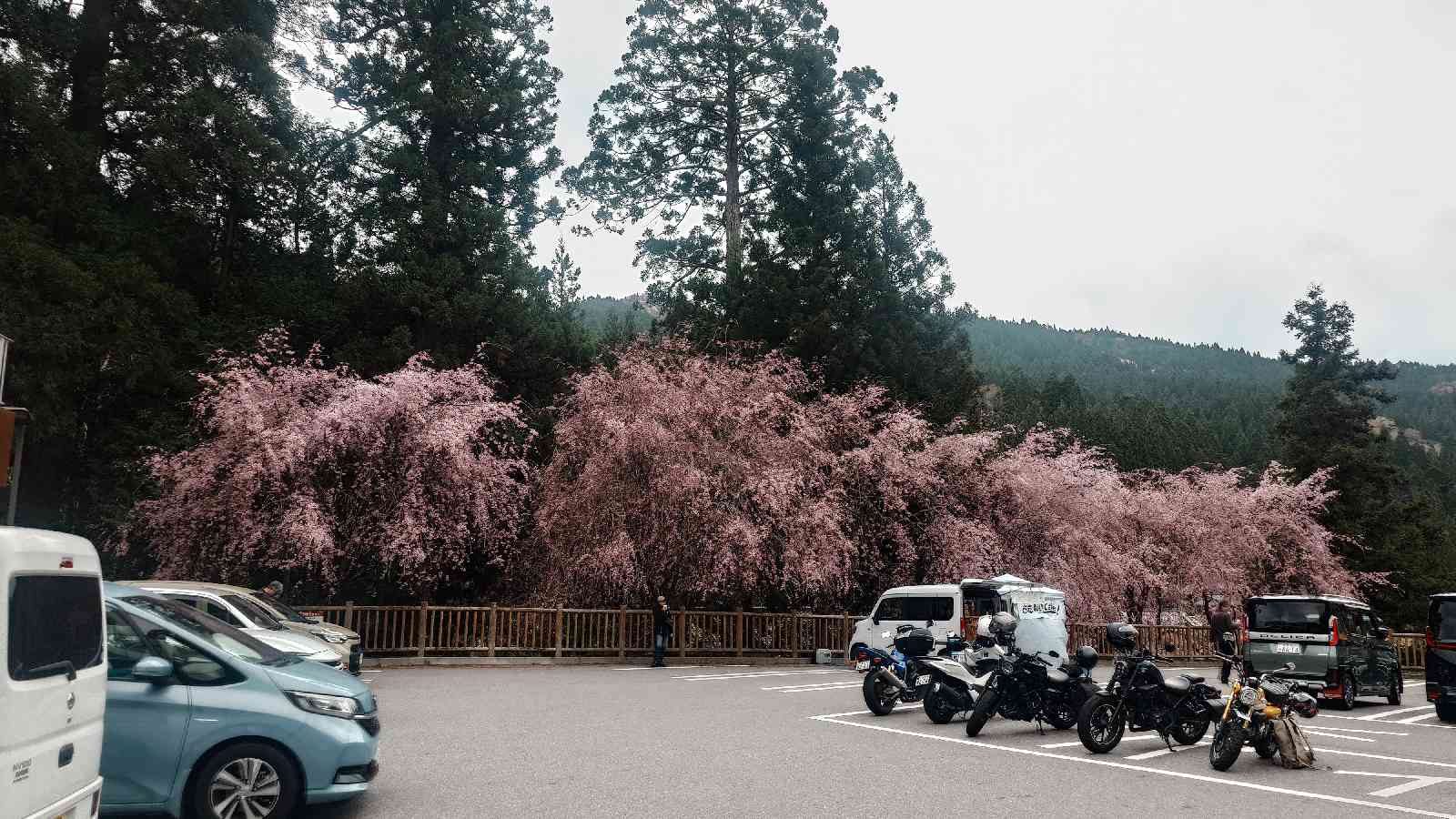 道の駅 豊根グリーンポート宮嶋の写真