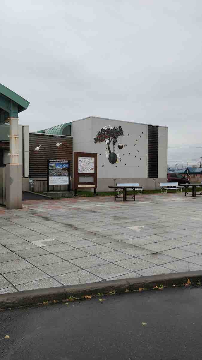 投稿された画像