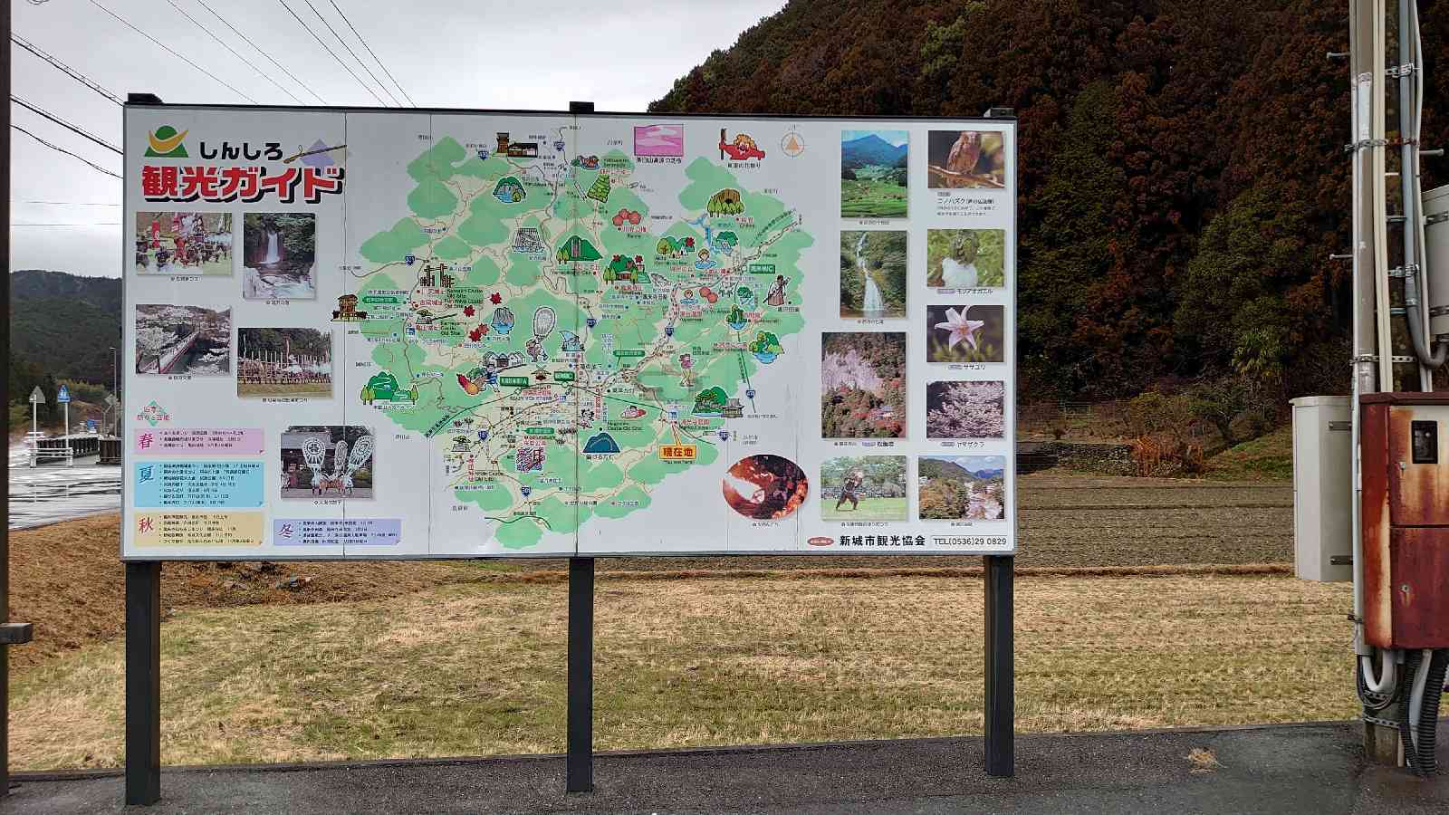 投稿された画像