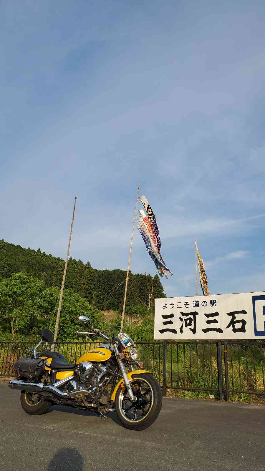 投稿された画像