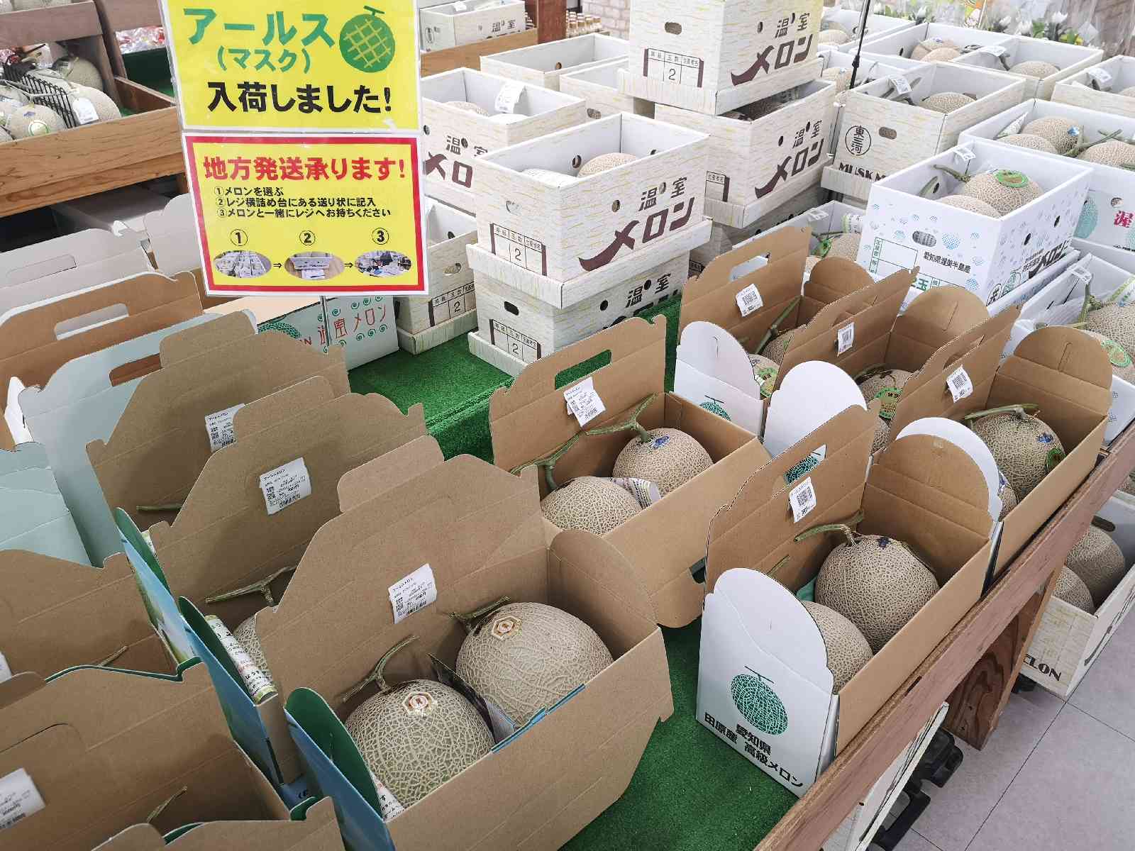 投稿された画像