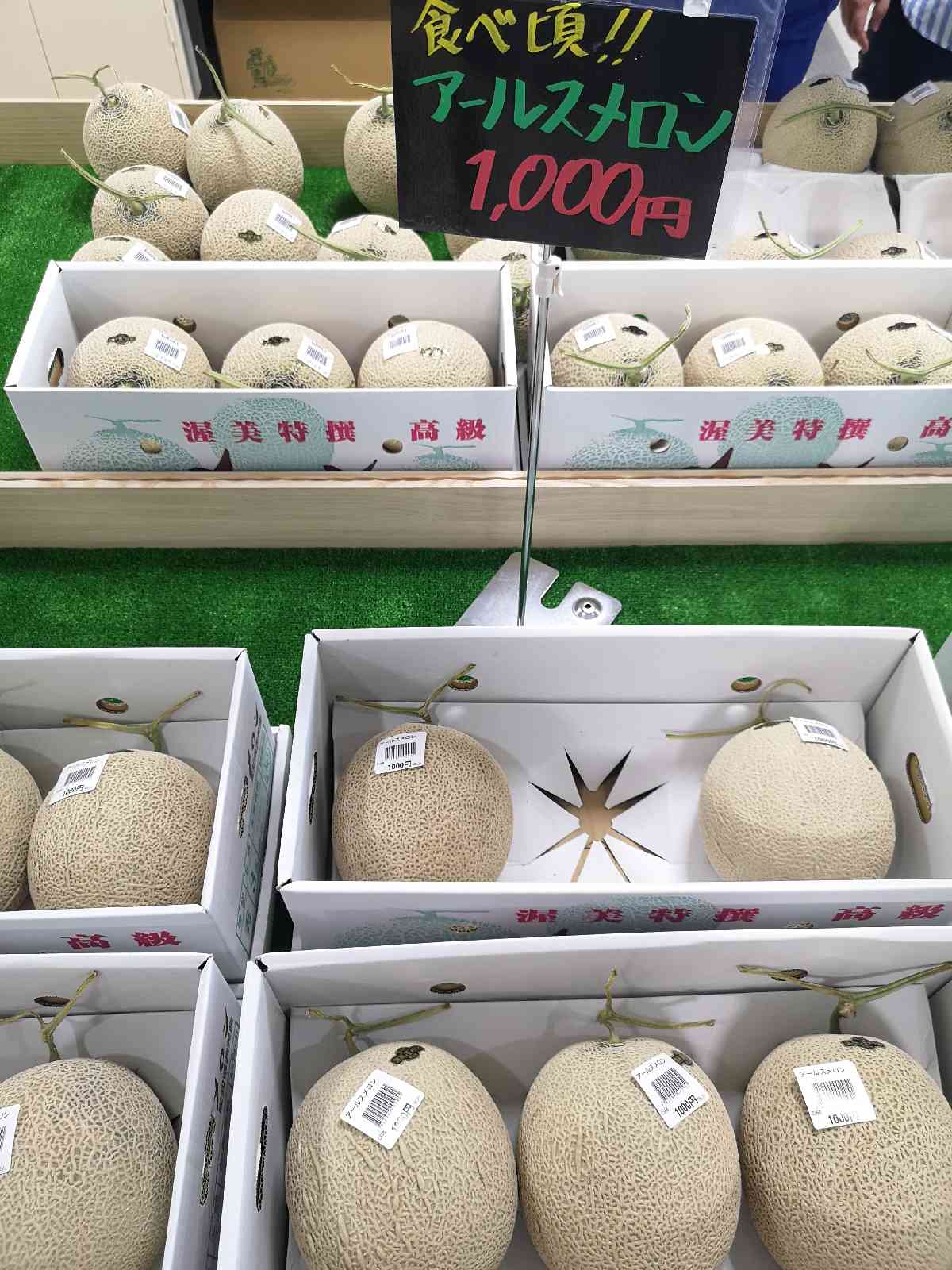 投稿された画像