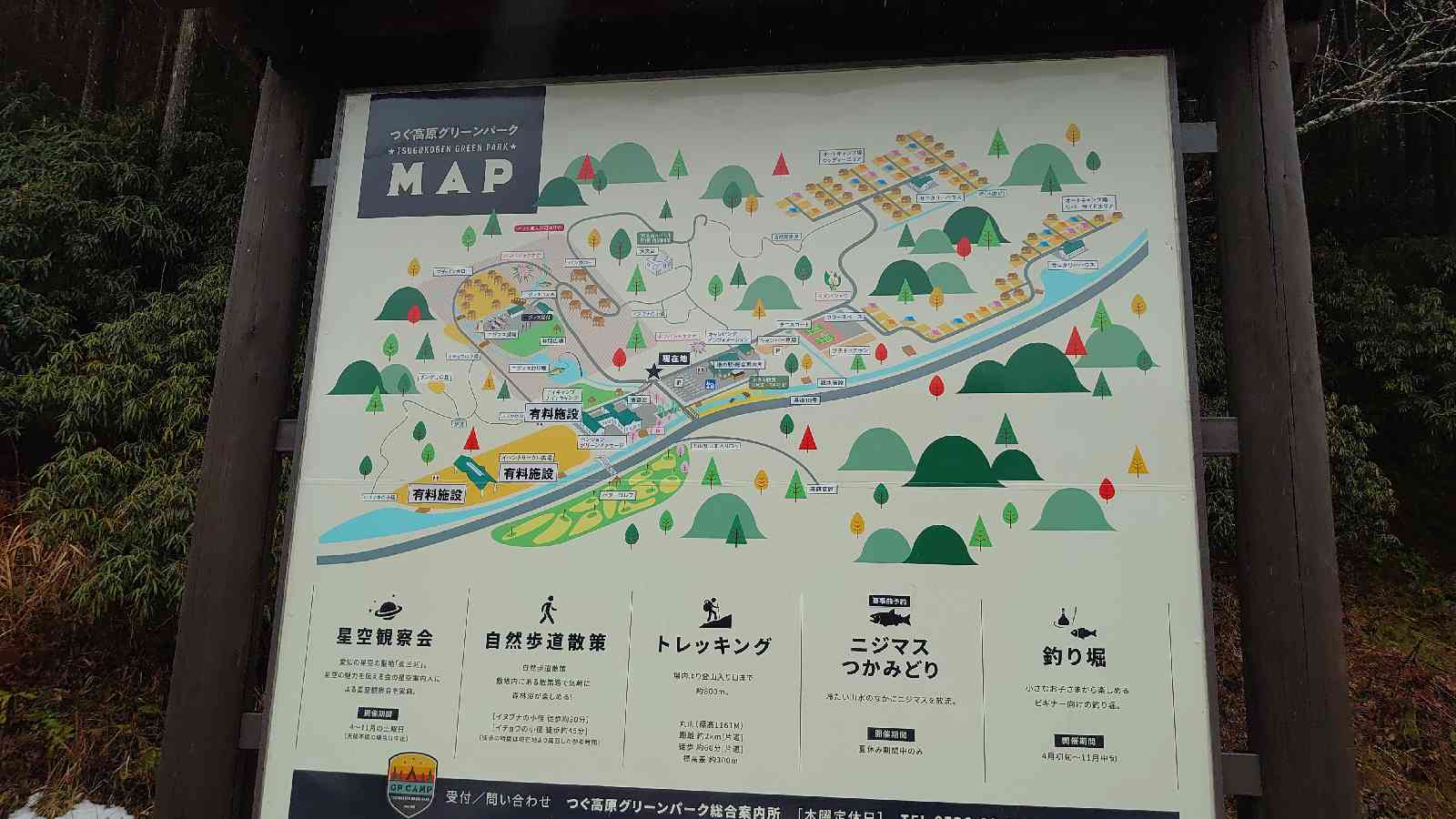 投稿された画像