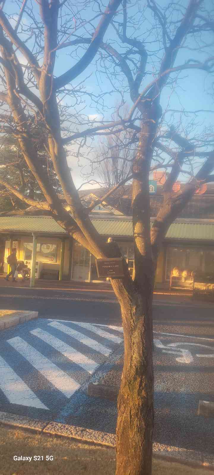 道の駅 デンパーク安城の写真
