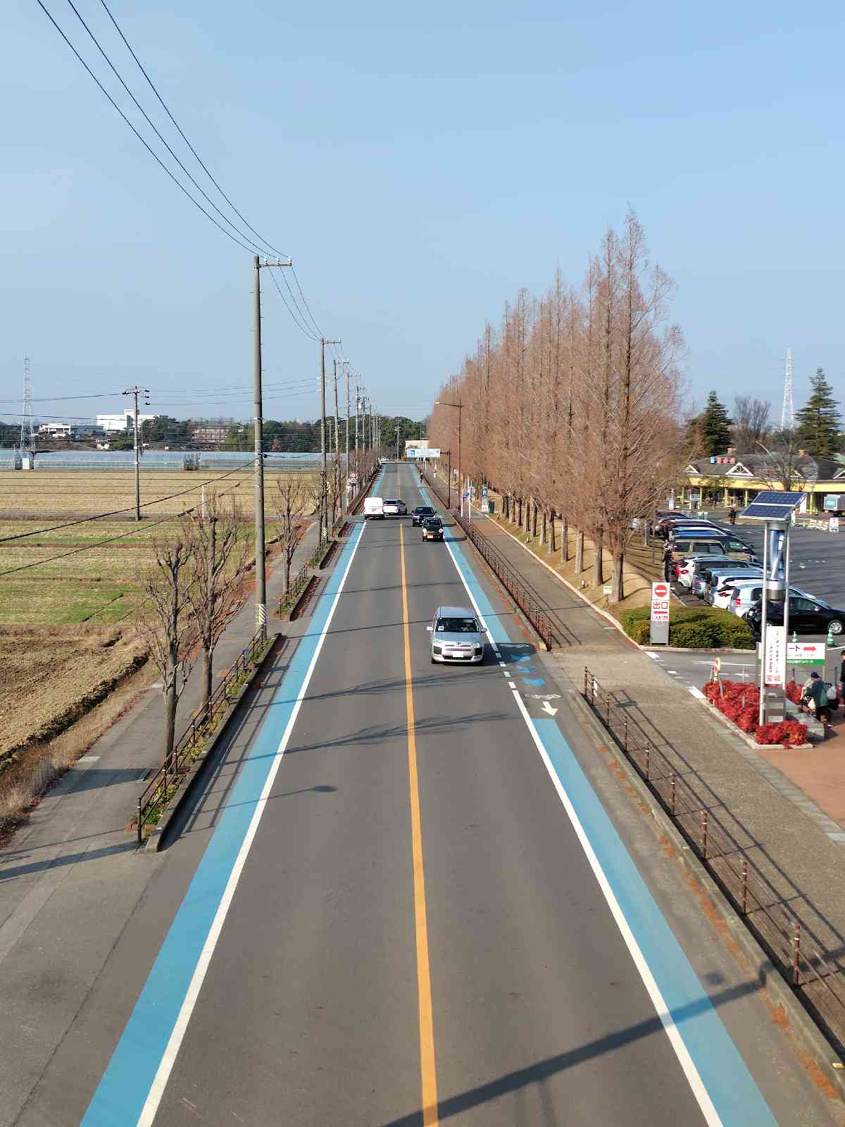 道の駅 デンパーク安城の写真