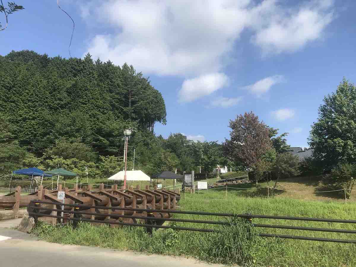 投稿された画像