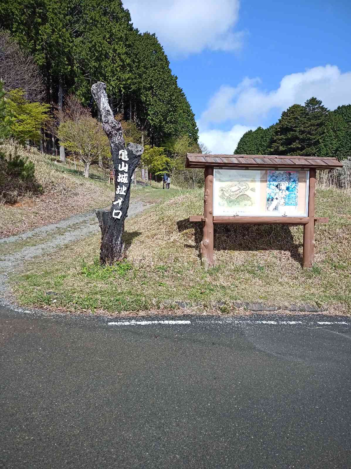 投稿された画像