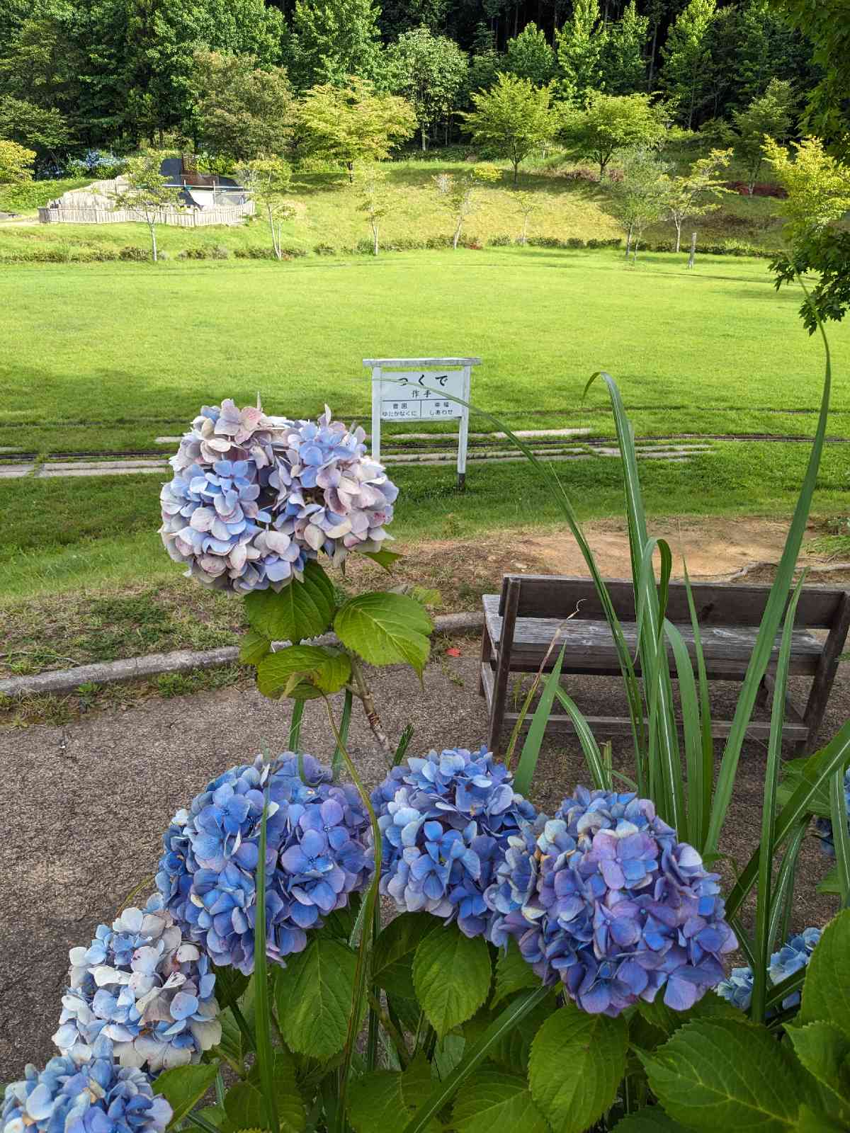 投稿された画像