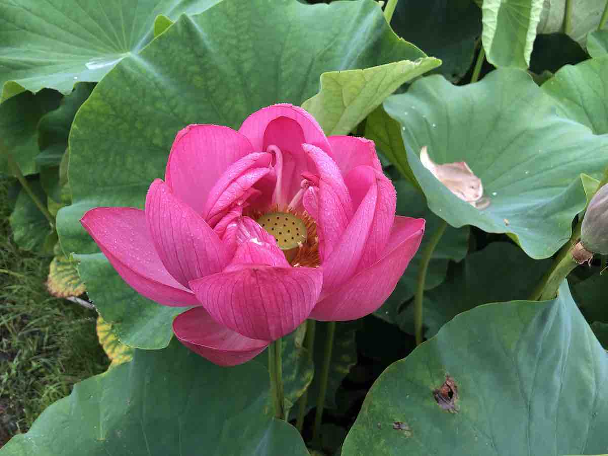 投稿された画像