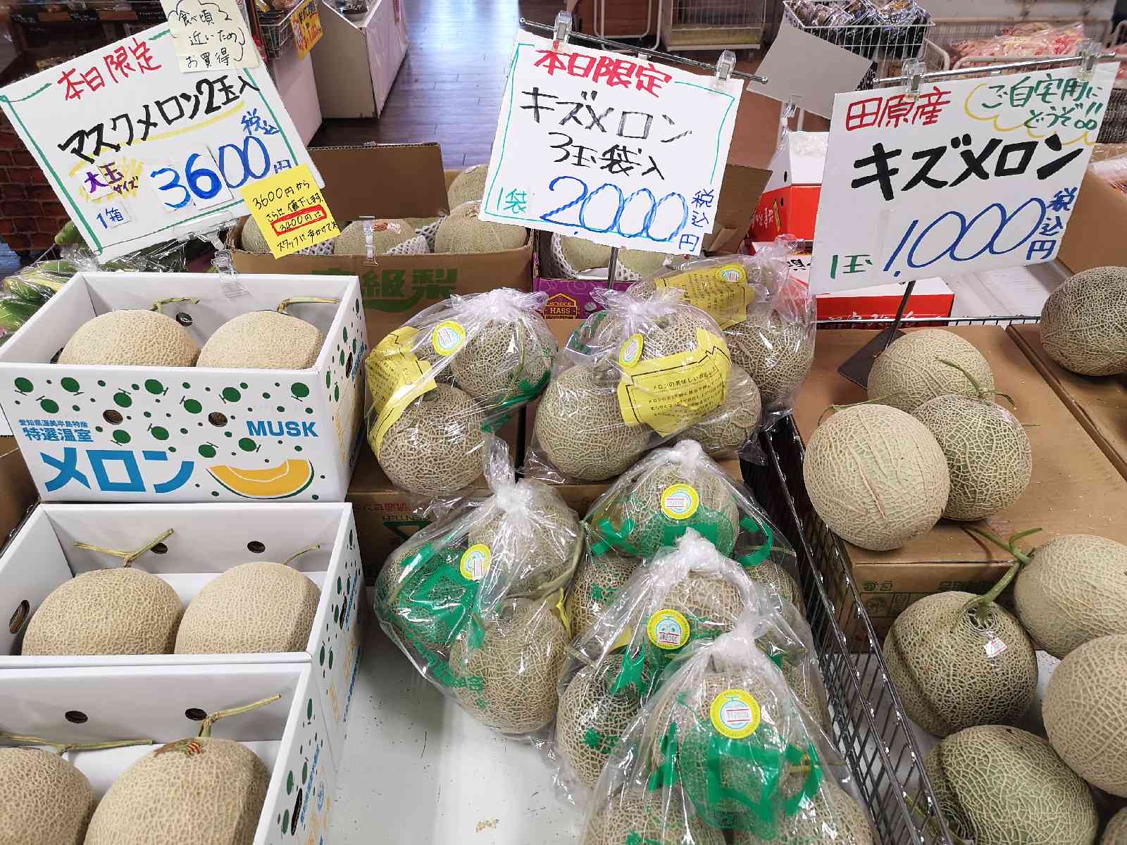 投稿された画像