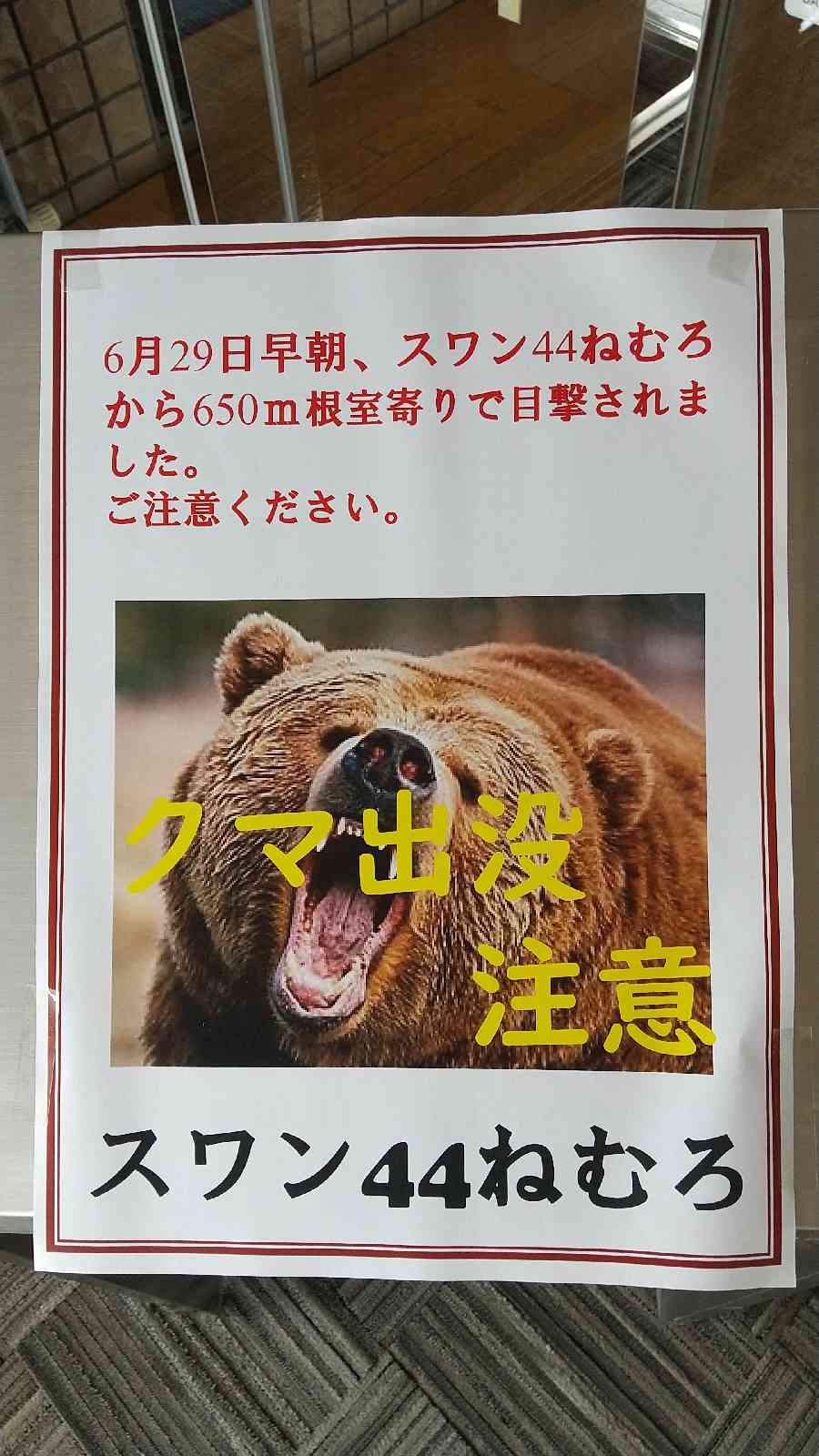投稿された画像