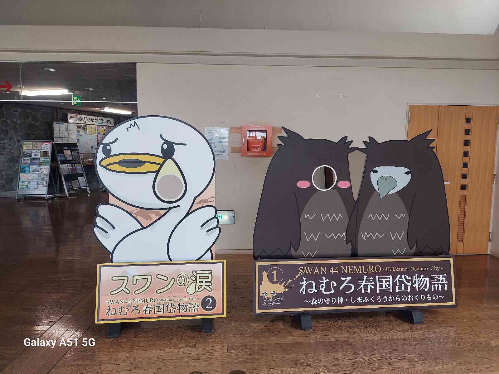 投稿された画像