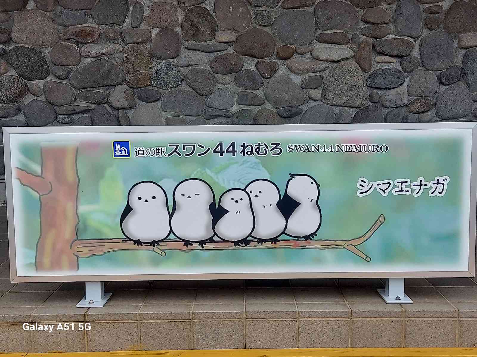投稿された画像