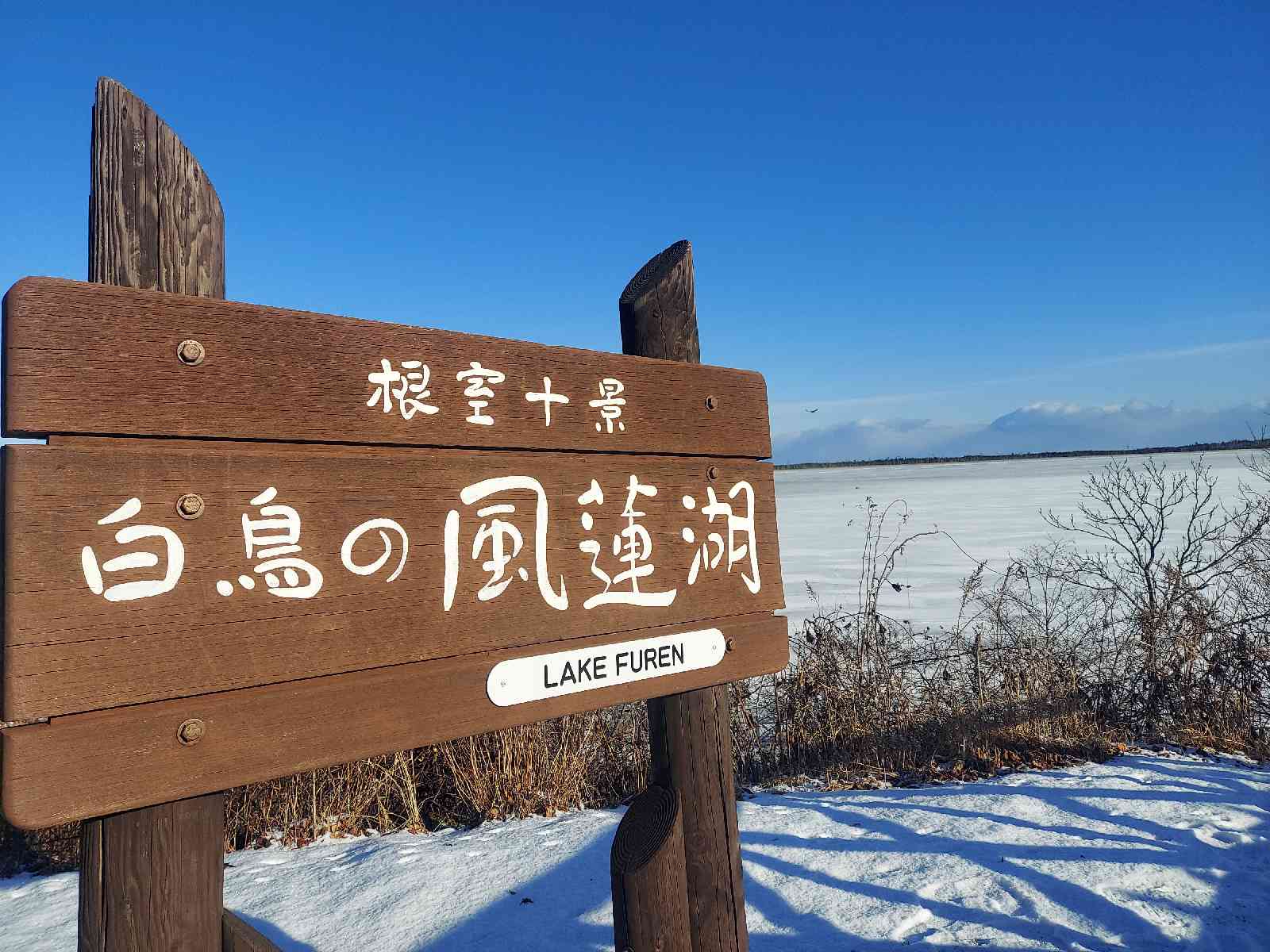 道の駅 スワン44ねむろの写真