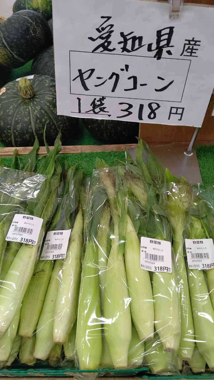 投稿された画像