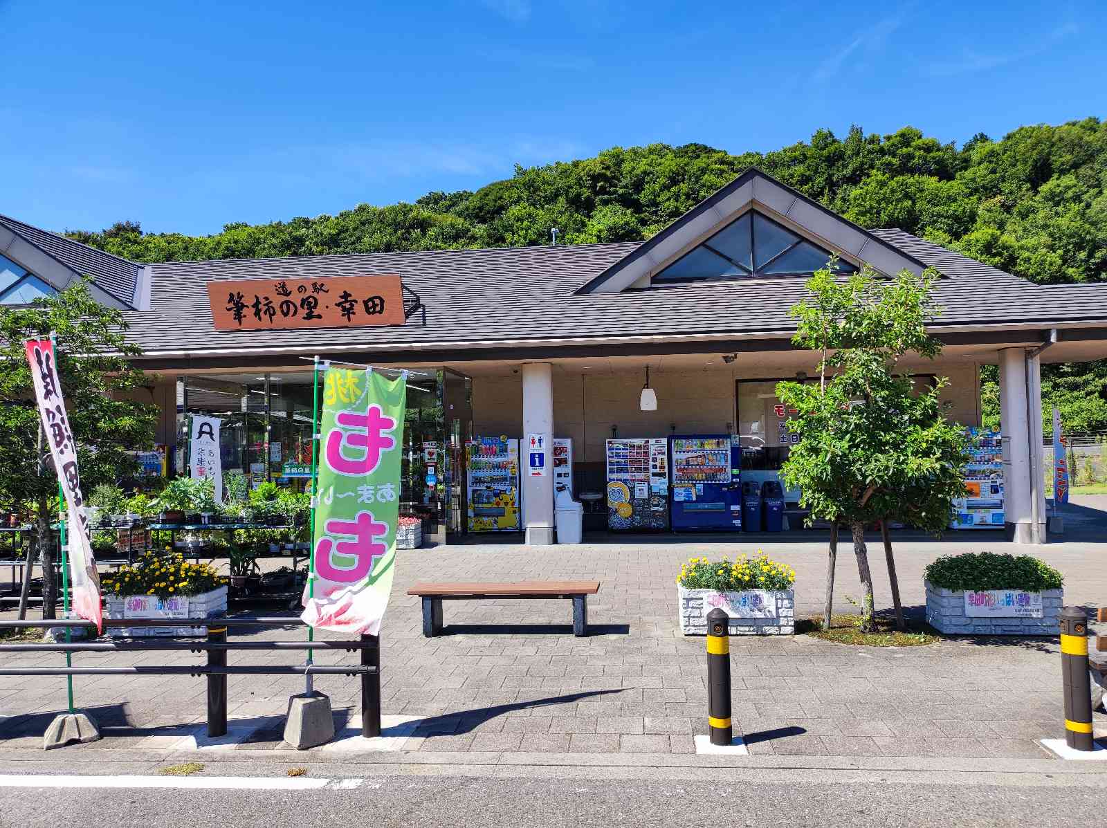 投稿された画像