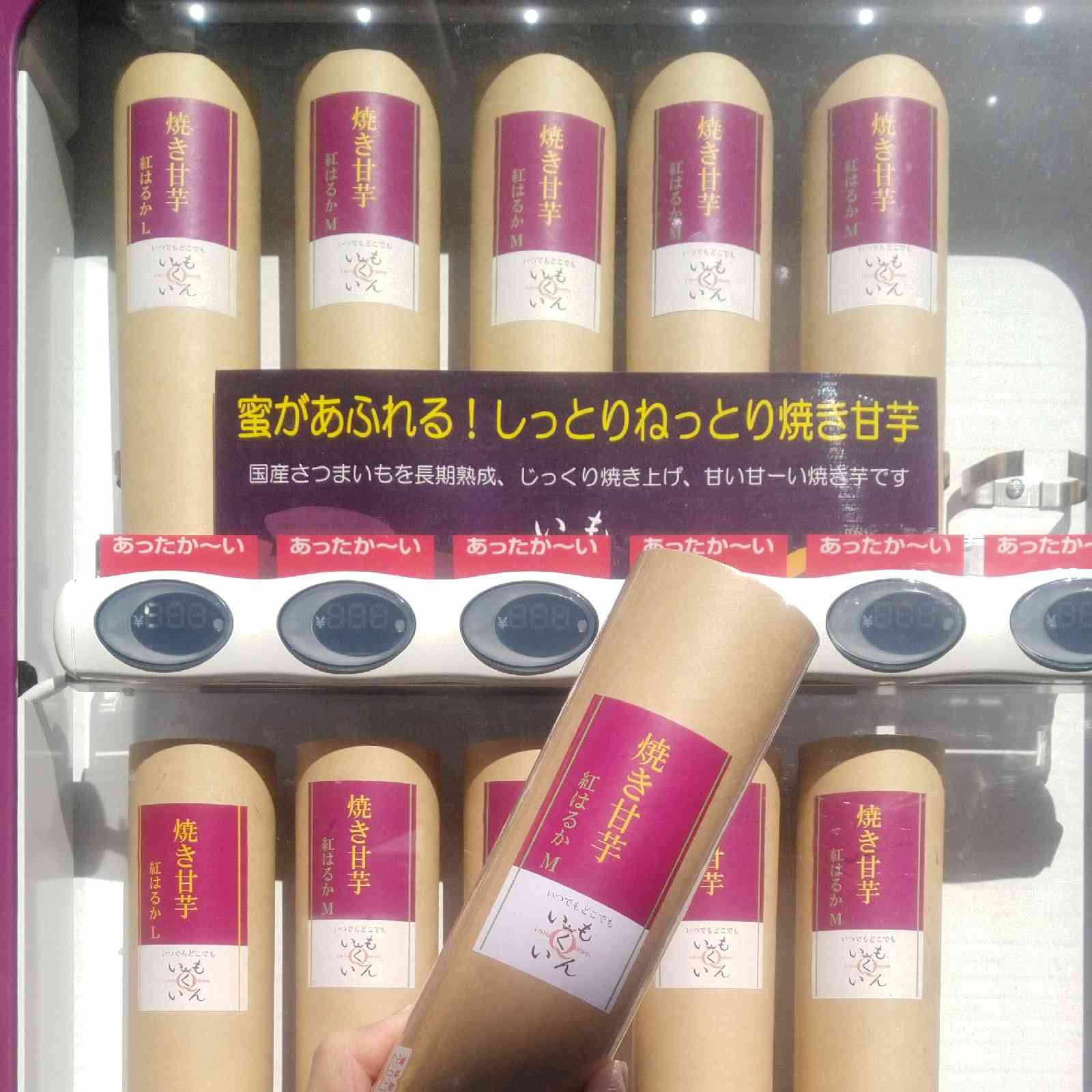 投稿された画像