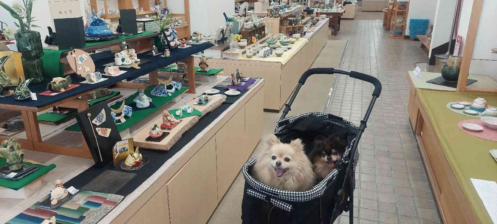 道の駅 瀬戸しなのの写真
