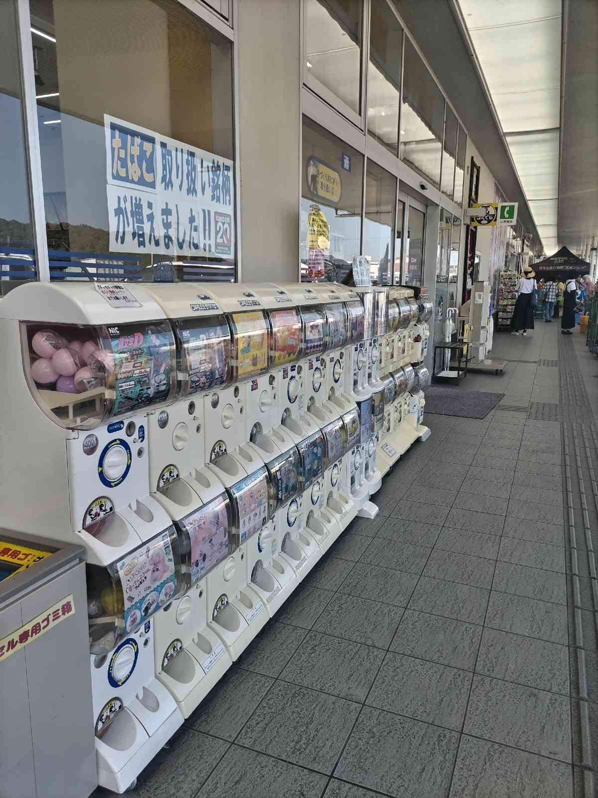 道の駅 藤川宿の写真