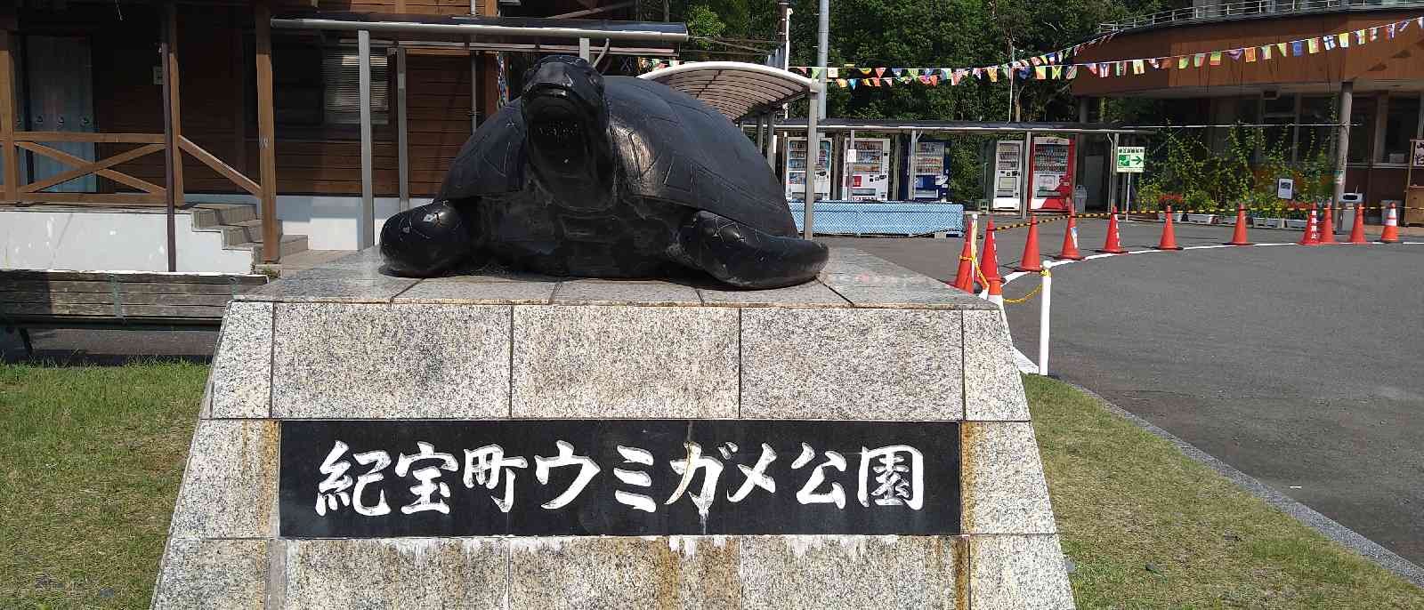 投稿された画像