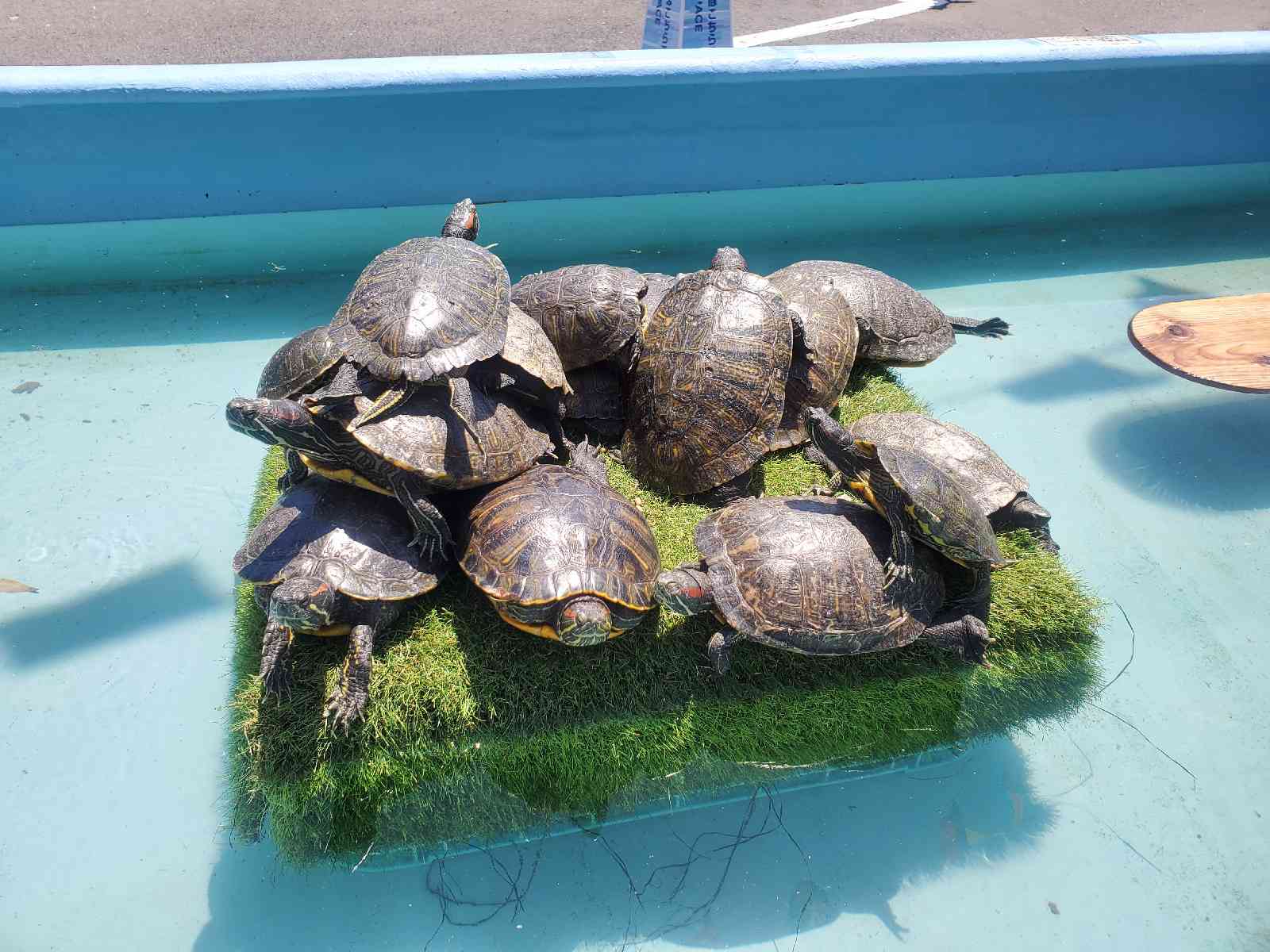 投稿された画像