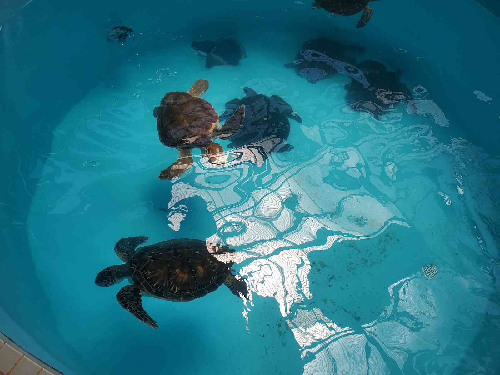 投稿された画像