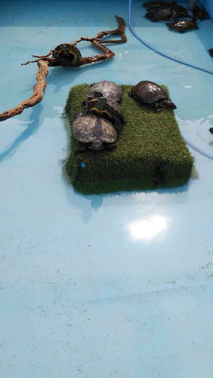 投稿された画像