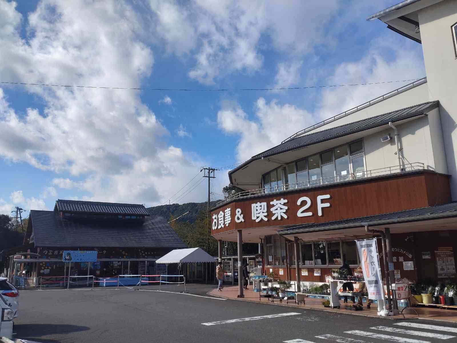 投稿された画像