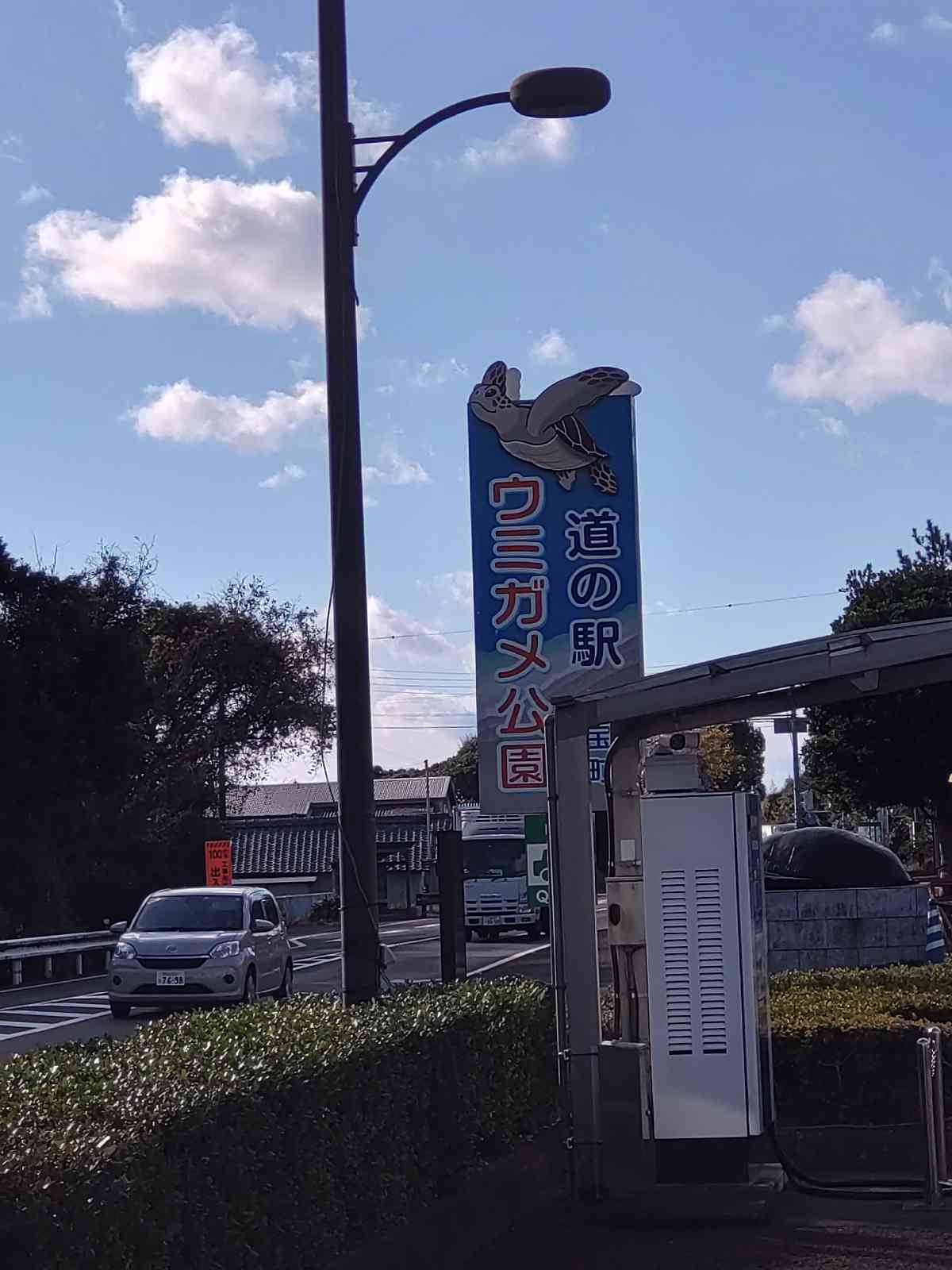投稿された画像