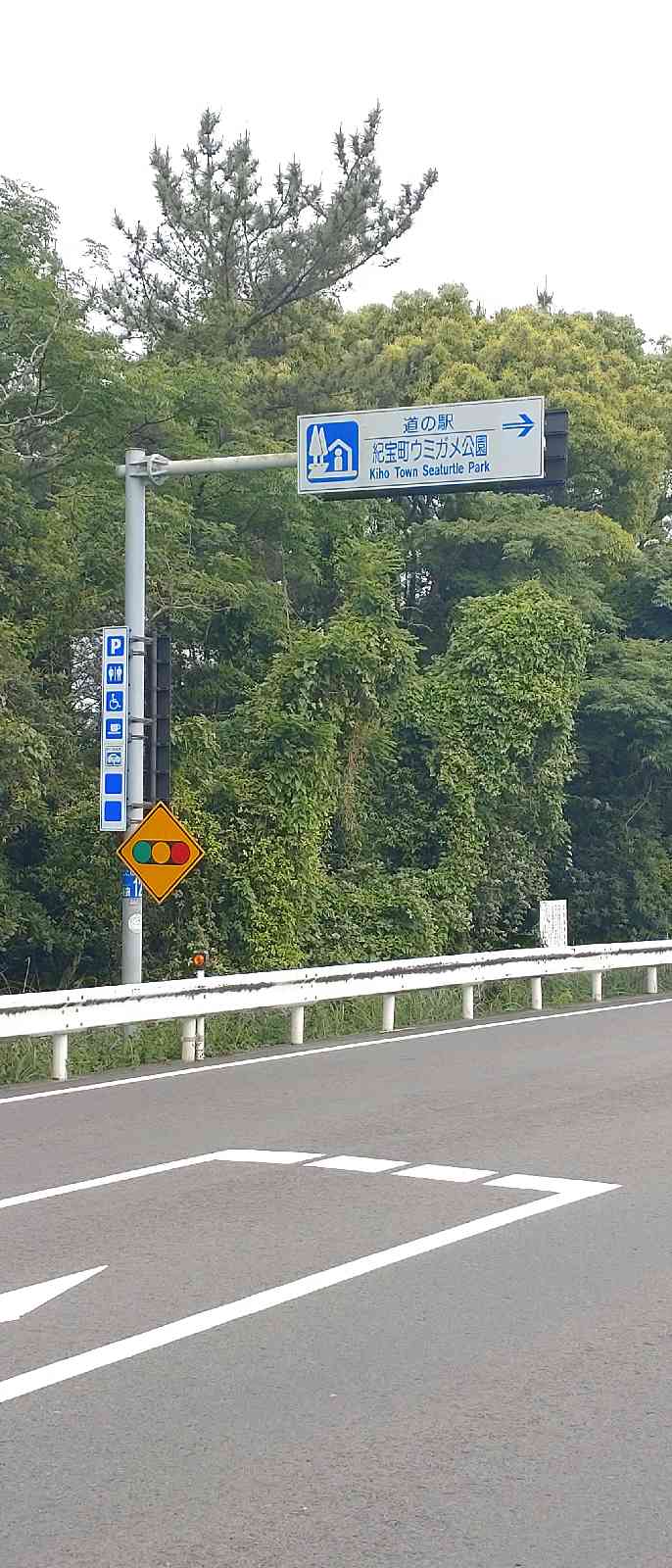 道の駅 紀宝町ウミガメ公園の写真