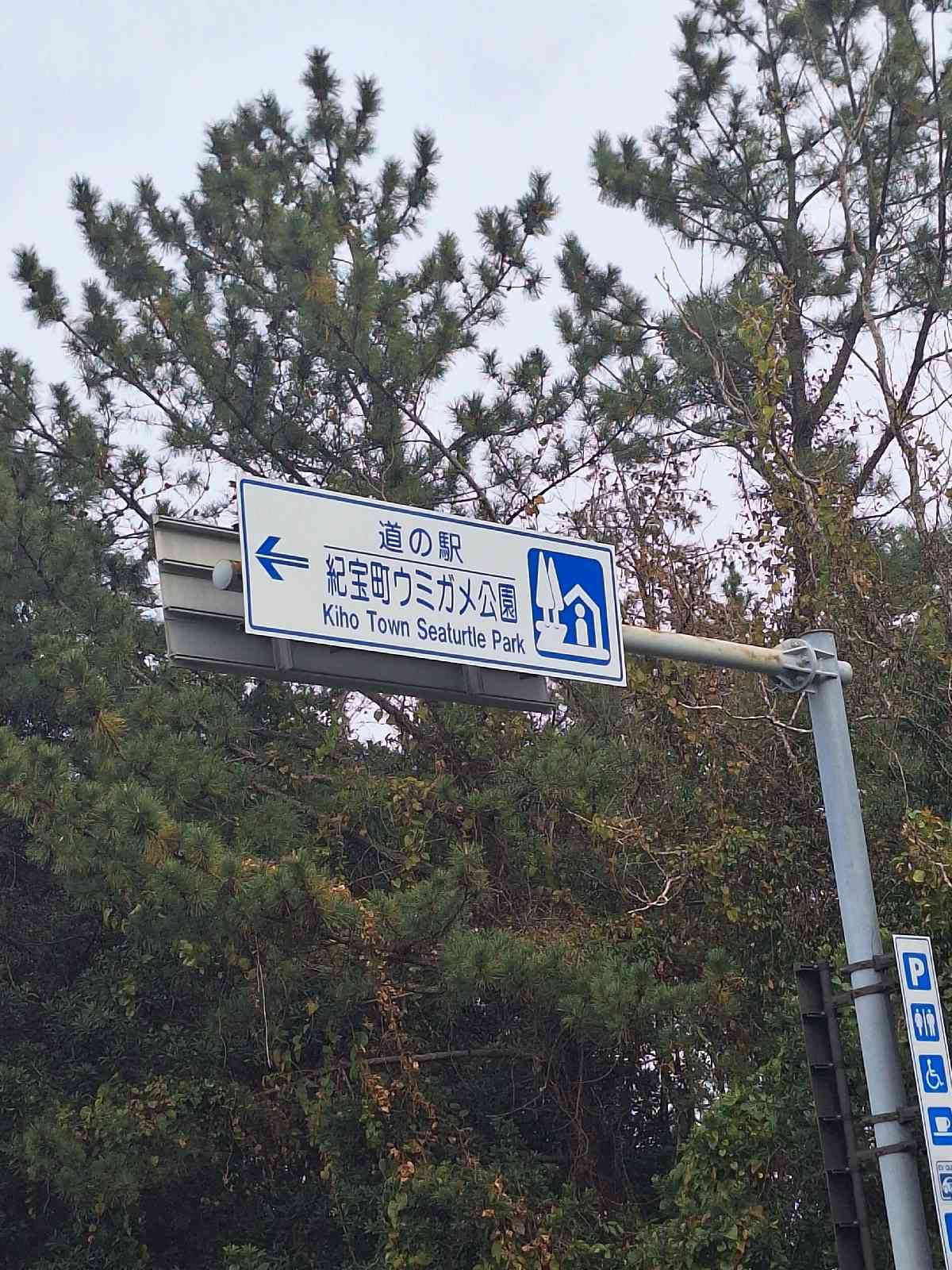 道の駅 紀宝町ウミガメ公園の写真