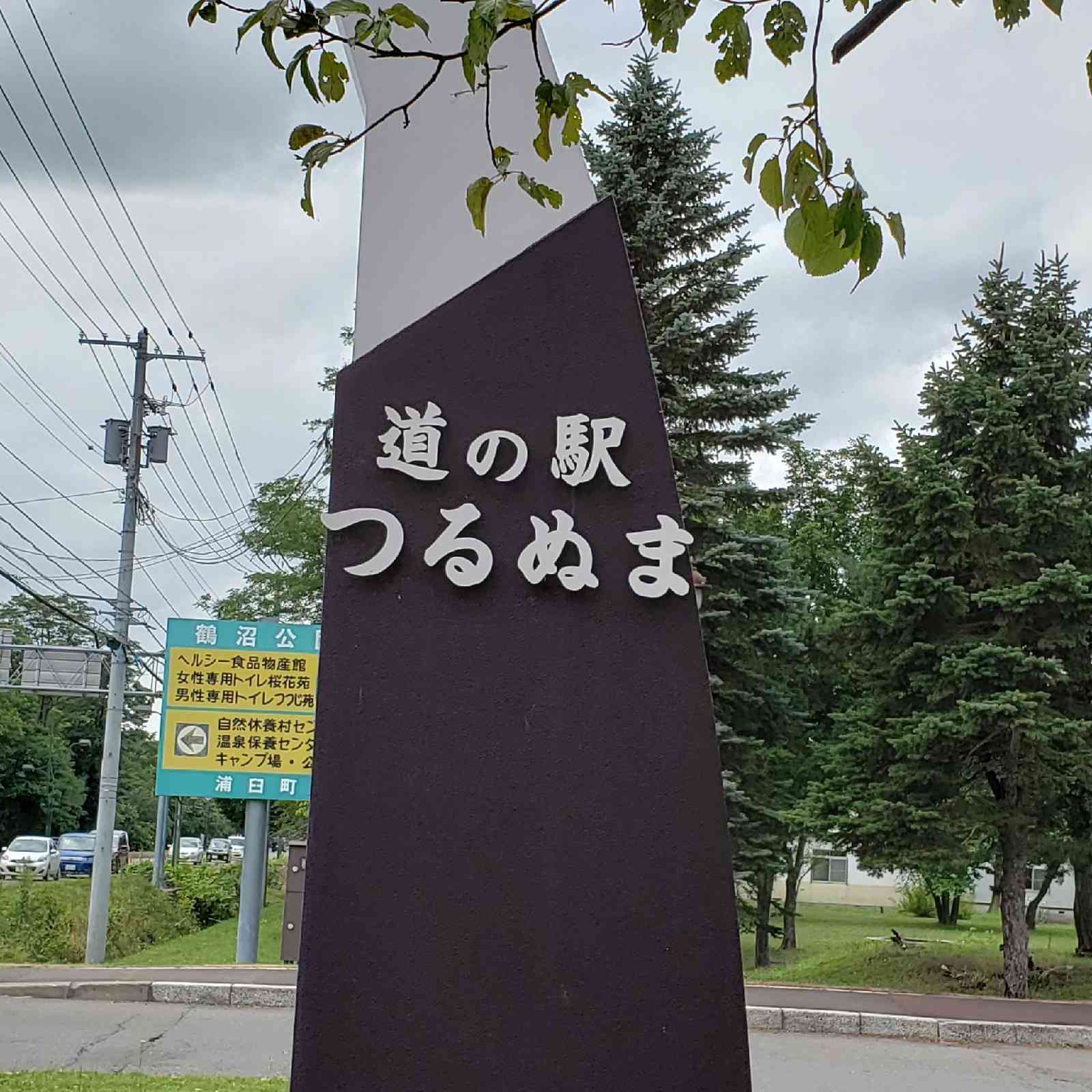 投稿された画像