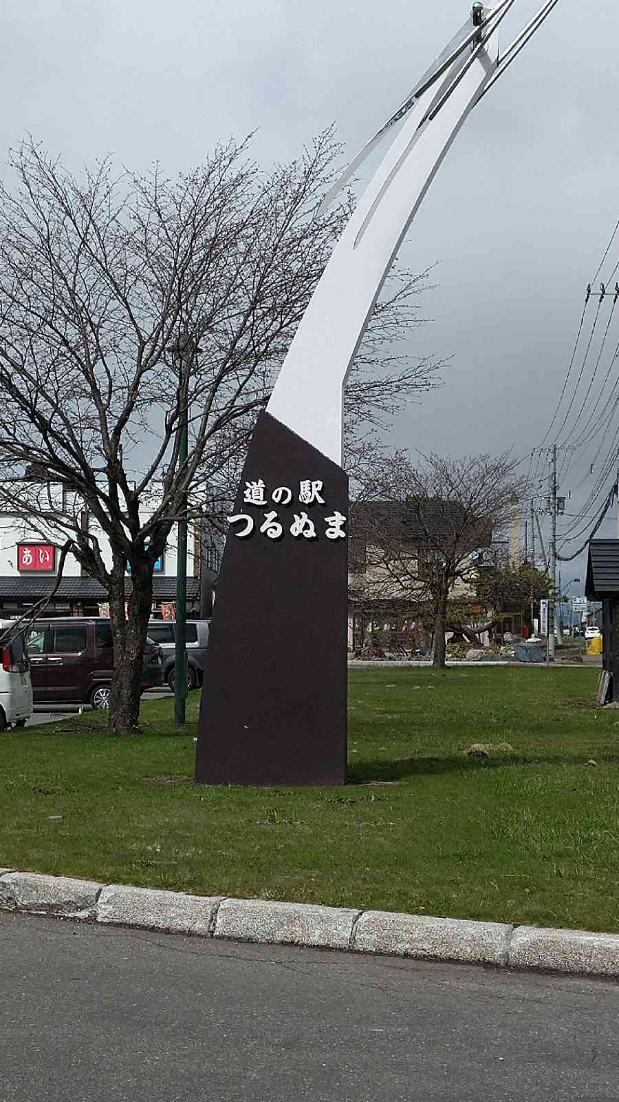 投稿された画像
