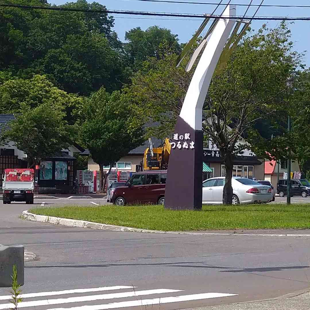 投稿された画像