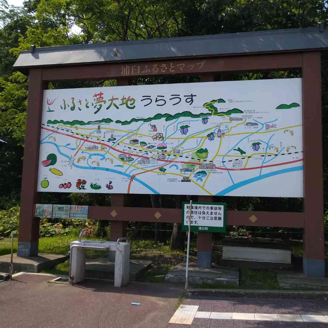 投稿された画像