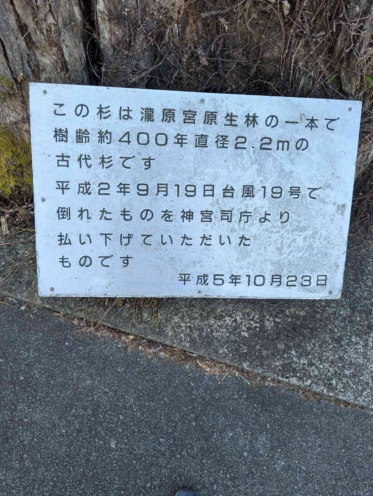 道の駅 奥伊勢木つつ木館の写真