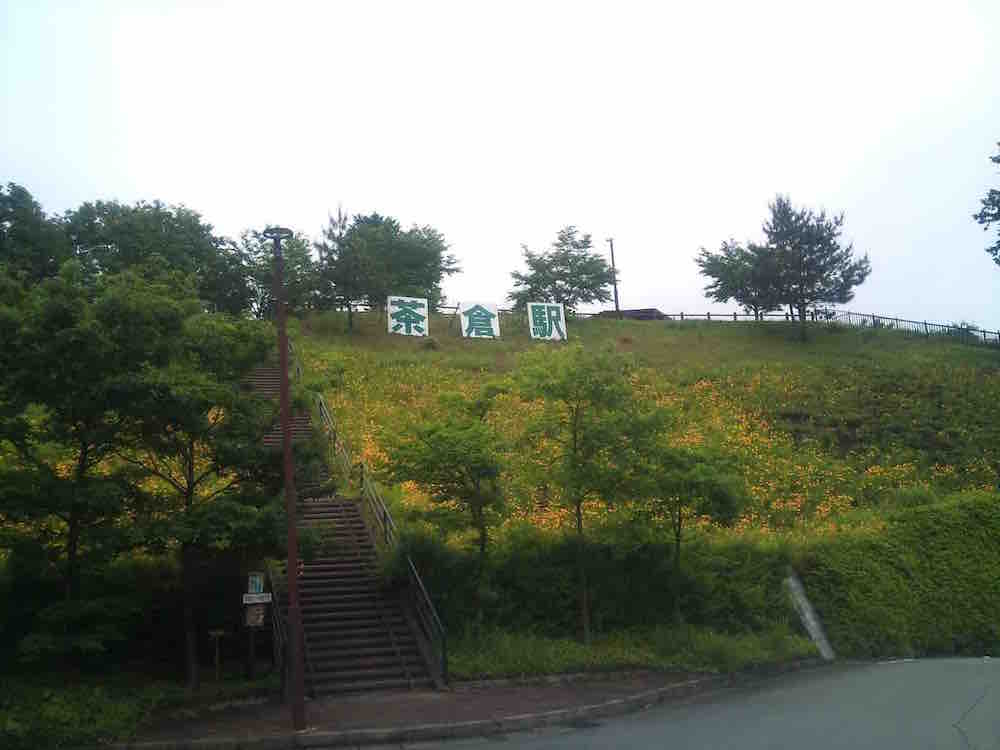 投稿された画像