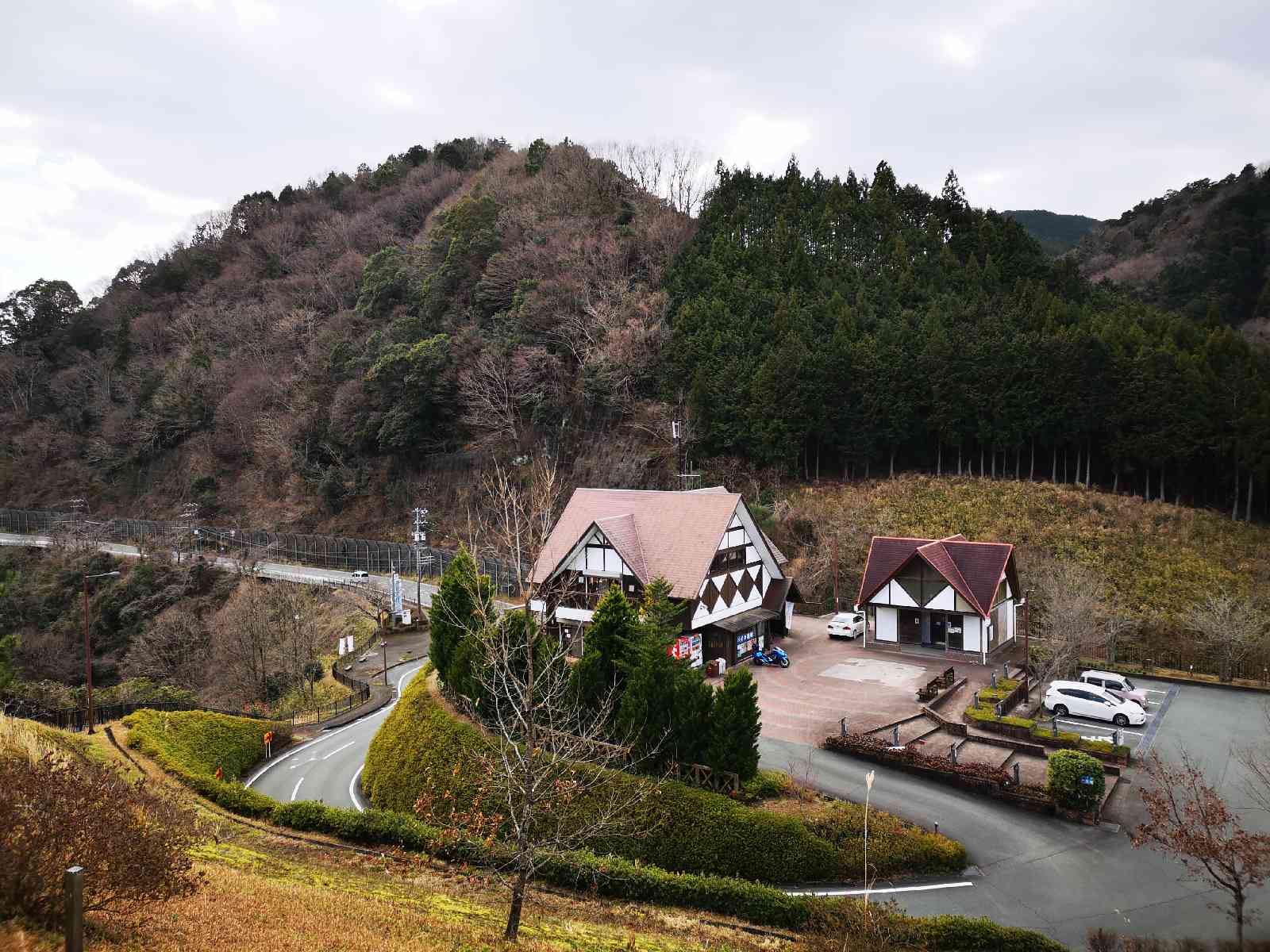 投稿された画像