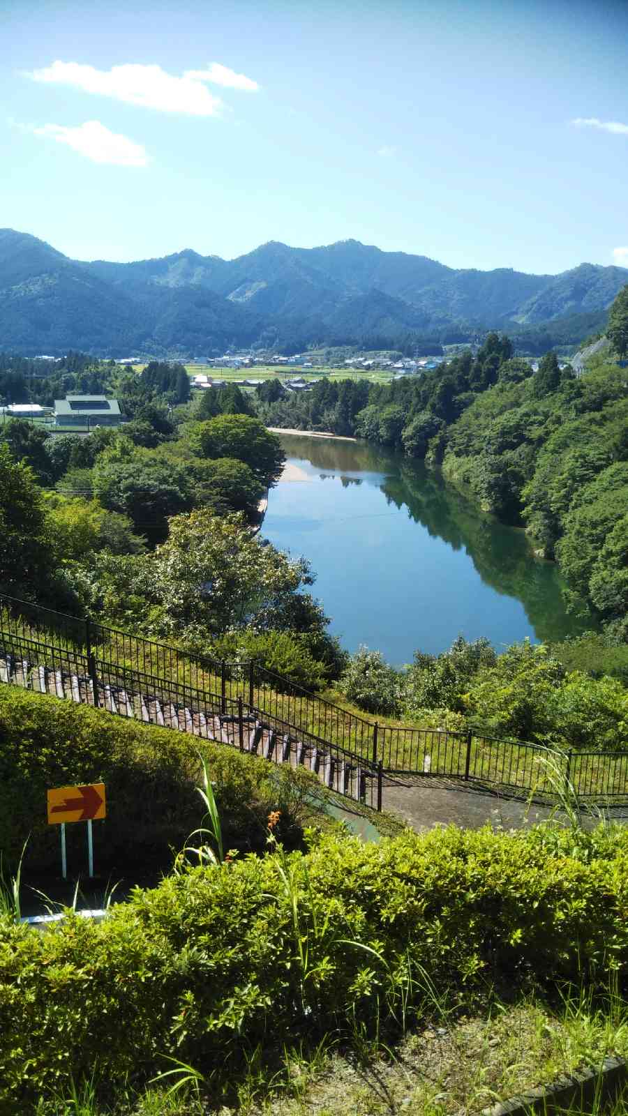 投稿された画像