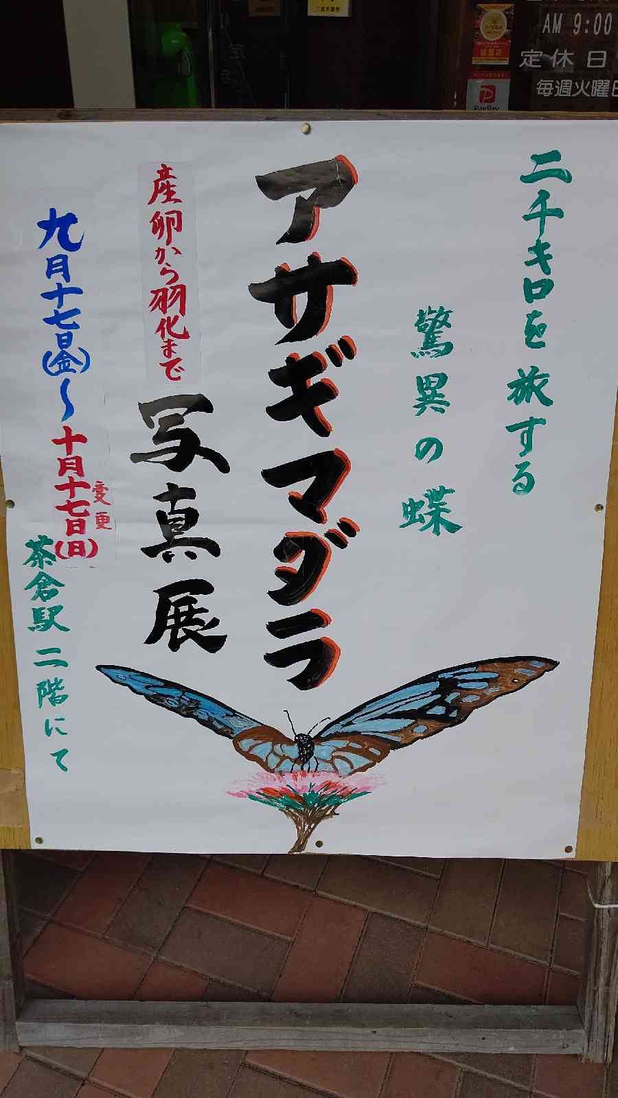 投稿された画像